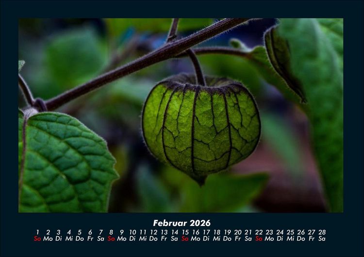 Produktbild: Unser Heimatplanet 2026 Fotokalender DIN A4