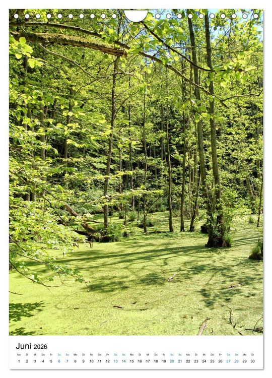 Produktbild: Insel R&uuml;gen - Kreide, Landschaft, Leuchtt&uuml;rme (Wandkalender 2026 DIN A4 hoch), CALVENDO Monatskalender