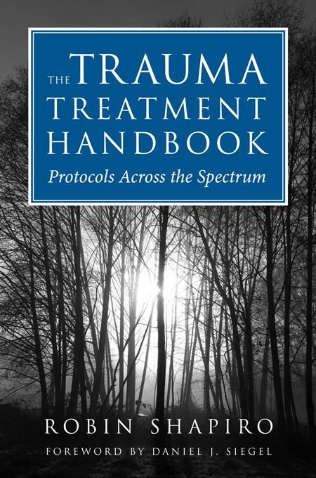 Produktbild: The Trauma Treatment Handbook