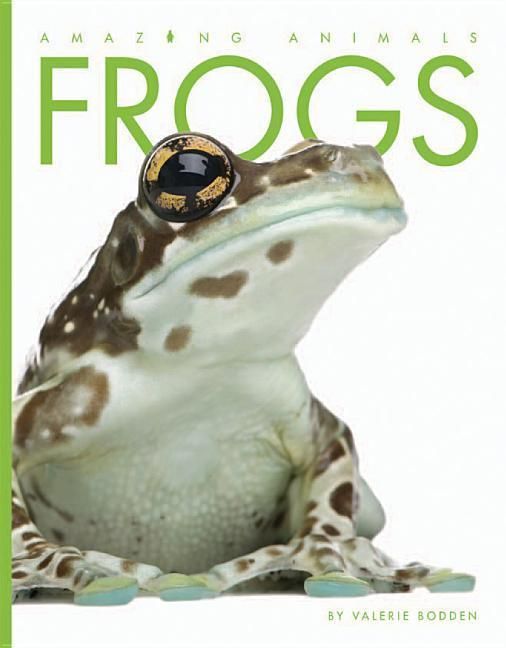 Produktbild: Frogs