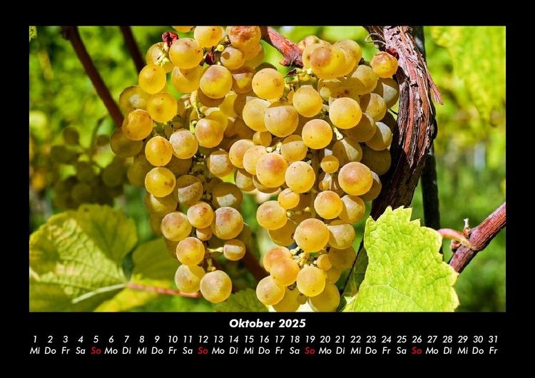 Produktbild: Obstkalender 2025 Fotokalender DIN A3