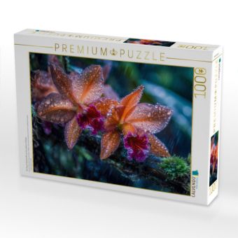 Produktbild: CALVENDO Puzzle Ein Hauch Exotik trifft auf ein zeitlose Cattleya | 1000 Teile Lege-Gr&ouml;&szlig;e 64x48cm Foto-Puzzle f&uuml;r gl&uuml;ckliche Stunden