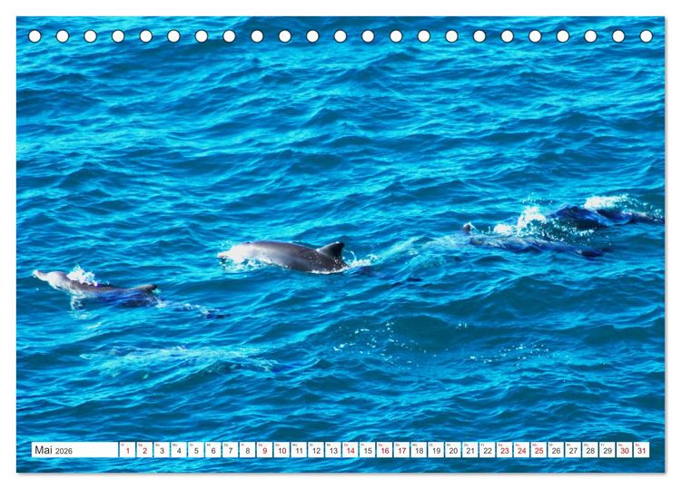 Produktbild: K&uuml;stenparadies - Noosa Nationalpark Australien (Tischkalender 2026 DIN A5 quer), CALVENDO Monatskalender