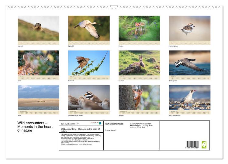 Produktbild: Wild encounters &ndash; Moments in the heart of nature (Wall Calendar 2026 DIN A2 landscape), CALVENDO 12 Month Wall Calendar