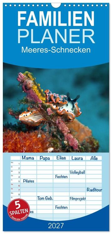 Produktbild: Familienplaner 2027 - Meeres-Schnecken mit 5 Spalten (Wandkalender, 21 x 45 cm) CALVENDO