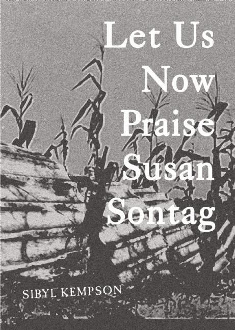 Produktbild: Let Us Now Praise Susan Sontag
