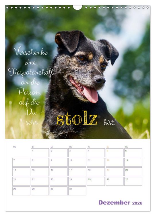 Produktbild: Tierische Challenges: F&uuml;r mehr Bewusstsein und mehr Tierschutz (Wandkalender 2026 DIN A3 hoch), CALVENDO Monatskalender