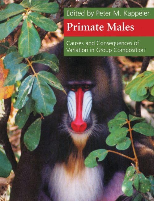 Produktbild: Primate Males
