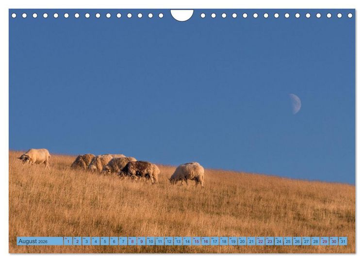 Produktbild: Sehnsucht R&uuml;gen (Wandkalender 2026 DIN A4 quer), CALVENDO Monatskalender