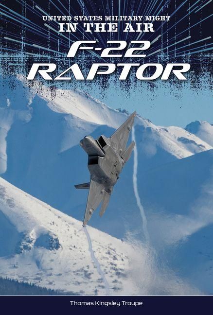 Produktbild: F-22 Raptor