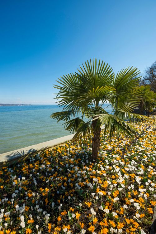 Produktbild: Das Buch der kuriosen Orte am Bodensee