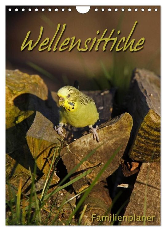 Produktbild: Wellensittiche (Wandkalender 2027 DIN A4 hoch), CALVENDO Monatskalender