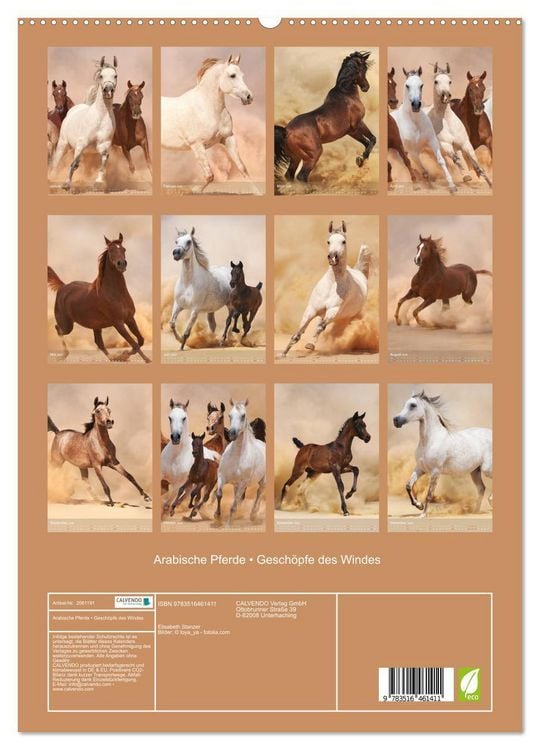 Produktbild: Arabische Pferde &bull; Gesch&ouml;pfe des Windes (hochwertiger Premium Wandkalender 2026 DIN A2 hoch), Kunstdruck in Hochglanz