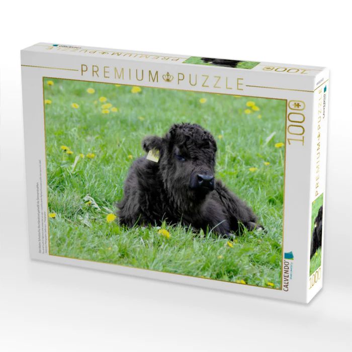Produktbild: CALVENDO Puzzle Das kleine Schottische Hochlandrind genie&szlig;t die Sonnenstrahlen. | 1000 Teile Lege-Gr&ouml;&szlig;e 64x48cm Foto-Puzzle f&uuml;r gl&uuml;ckliche Stunden