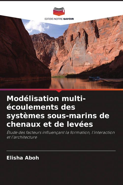 Produktbild: Mod&eacute;lisation multi-&eacute;coulements des syst&egrave;mes sous-marins de chenaux et de lev&eacute;es