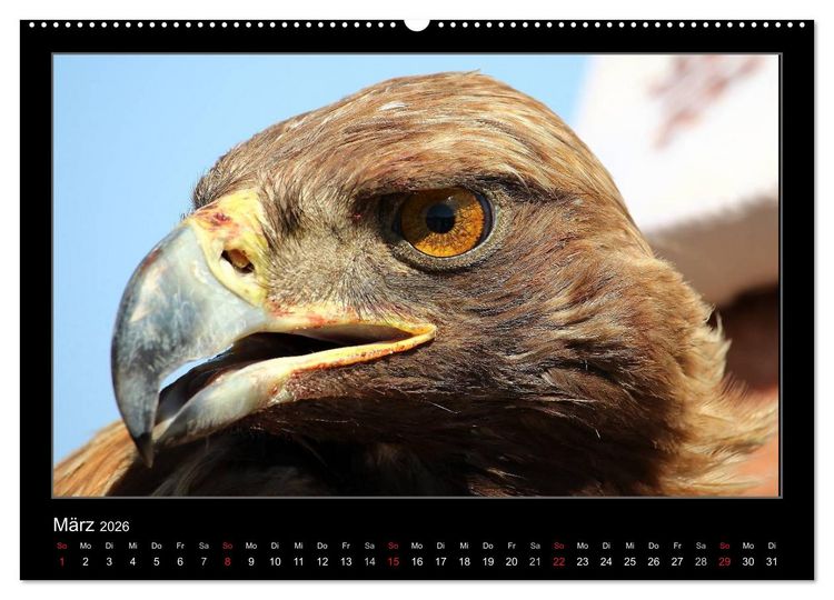 Produktbild: Unbekanntes Kirgistan (Wandkalender 2026 DIN A2 quer), CALVENDO Monatskalender