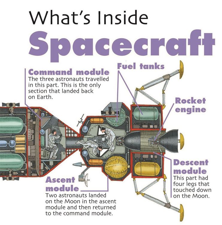 Produktbild: West, D: What's Inside?: Spacecraft