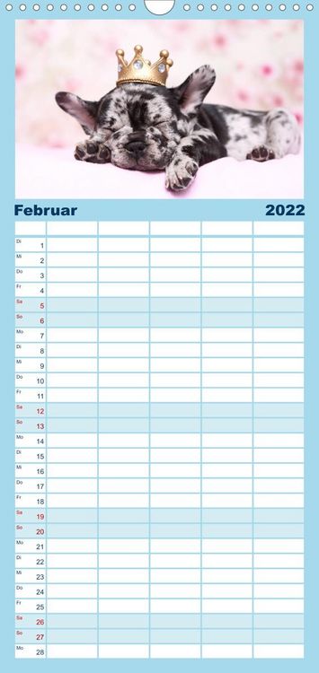 Produktbild: Bullys - Franz&ouml;sische Bulldoggen 2022 - Familienplaner hoch (Wandkalender 2022 , 21 cm x 45 cm, hoch)