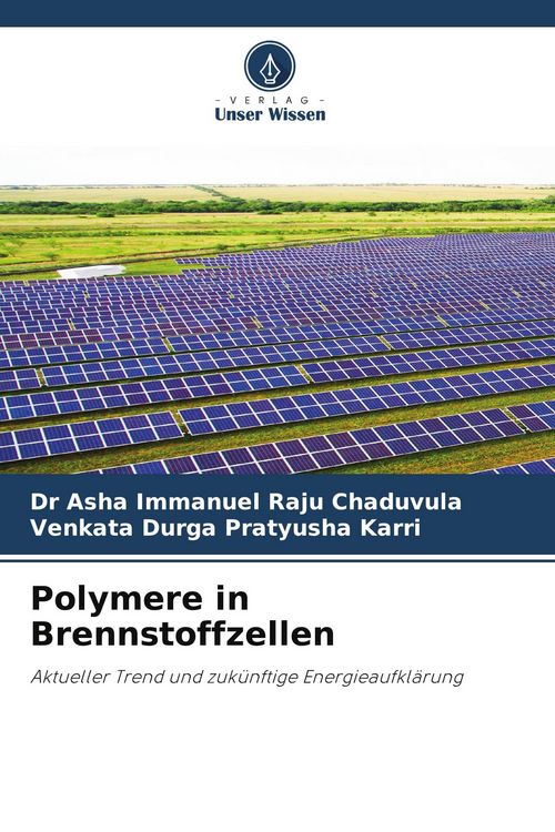 Produktbild: Polymere in Brennstoffzellen