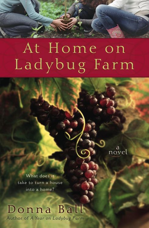 Produktbild: At Home on Ladybug Farm