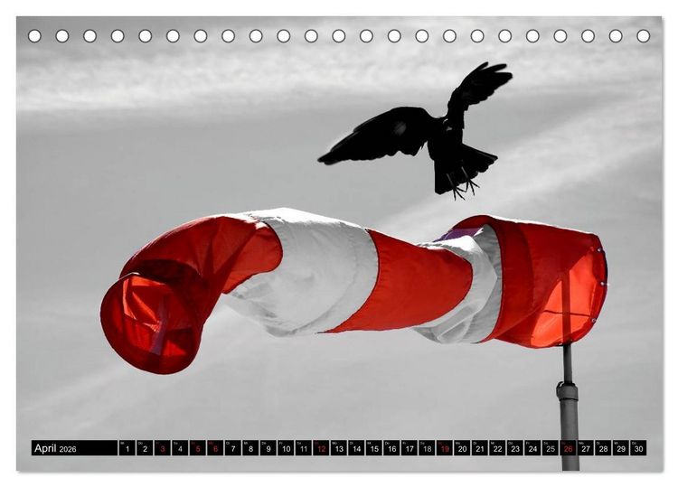 Produktbild: Schwarz - Wei&szlig; - Rot (Tischkalender 2026 DIN A5 quer), CALVENDO Monatskalender