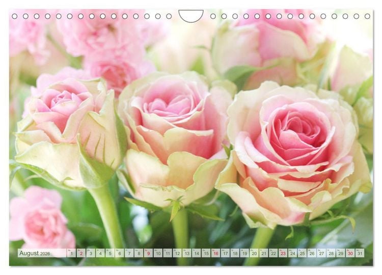 Produktbild: So viele sch&ouml;ne Rosen (Wandkalender 2026 DIN A4 quer), CALVENDO Monatskalender