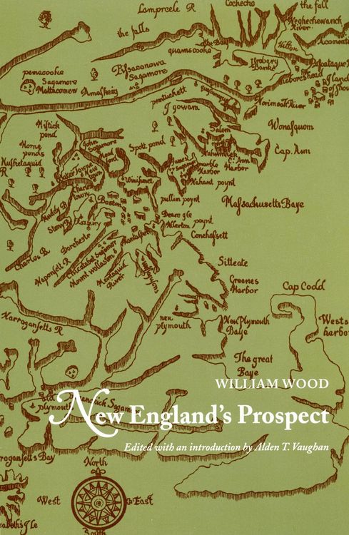 Produktbild: New England's Prospect