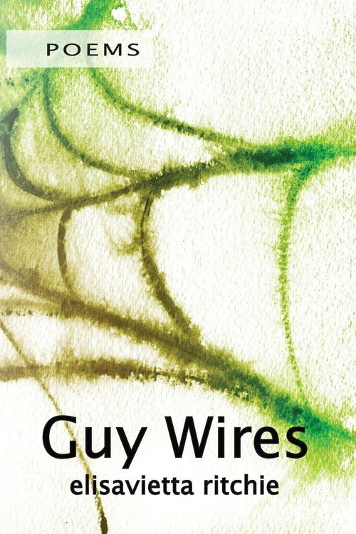 Produktbild: Guy Wires