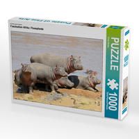 Produktbild: CALVENDO Puzzle Faszination Afrika: Flusspferde 1000 Teile Lege-Gr&ouml;&szlig;e 64 x 48 cm Foto-Puzzle Bild von Elmar Weiss