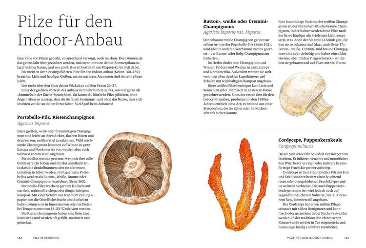 Produktbild: Pilzverr&uuml;ckt