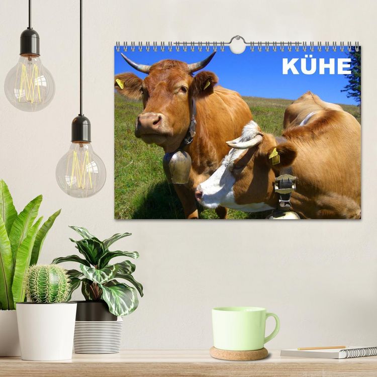 Produktbild: K&uuml;he / Geburtstagskalender (Wandkalender 2026 DIN A4 quer), CALVENDO Monatskalender