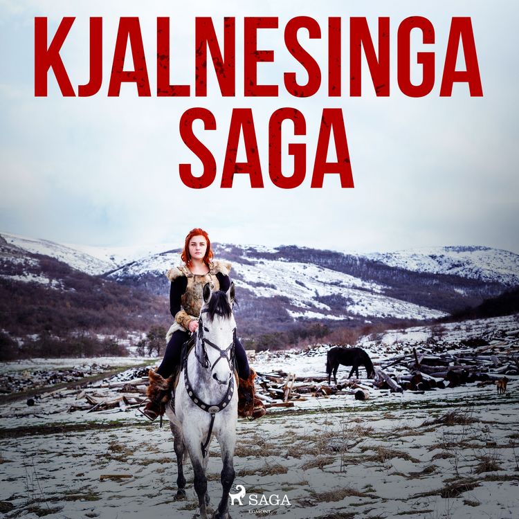 Produktbild: Kjalnesinga saga