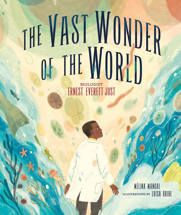 Produktbild: The Vast Wonder of the World