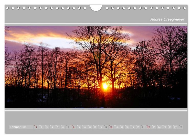 Produktbild: Krummh&ouml;rn im Panorama-Format (Wandkalender 2026 DIN A4 quer), CALVENDO Monatskalender