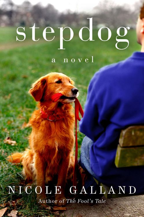 Produktbild: Stepdog