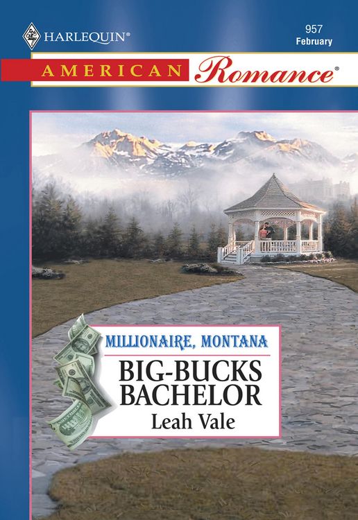 Produktbild: Big-Bucks Bachelor