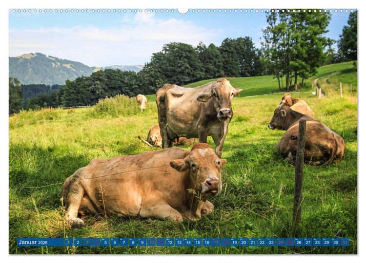 Produktbild: Allg&auml;u - Perle im S&uuml;den (hochwertiger Premium Wandkalender 2026 DIN A2 quer), Kunstdruck in Hochglanz