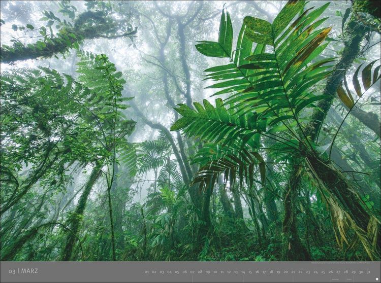 Produktbild: Die letzten Paradiese - Edition Alexander von Humboldt Kalender 2027