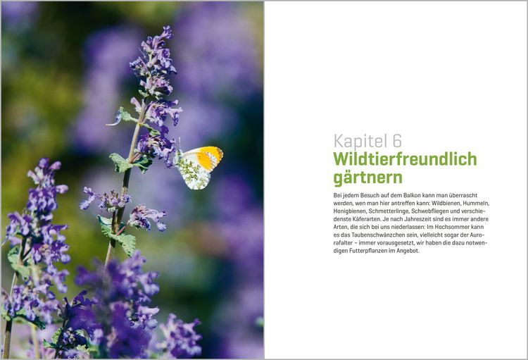 Produktbild: Balkong&auml;rtnern im Klimawandel