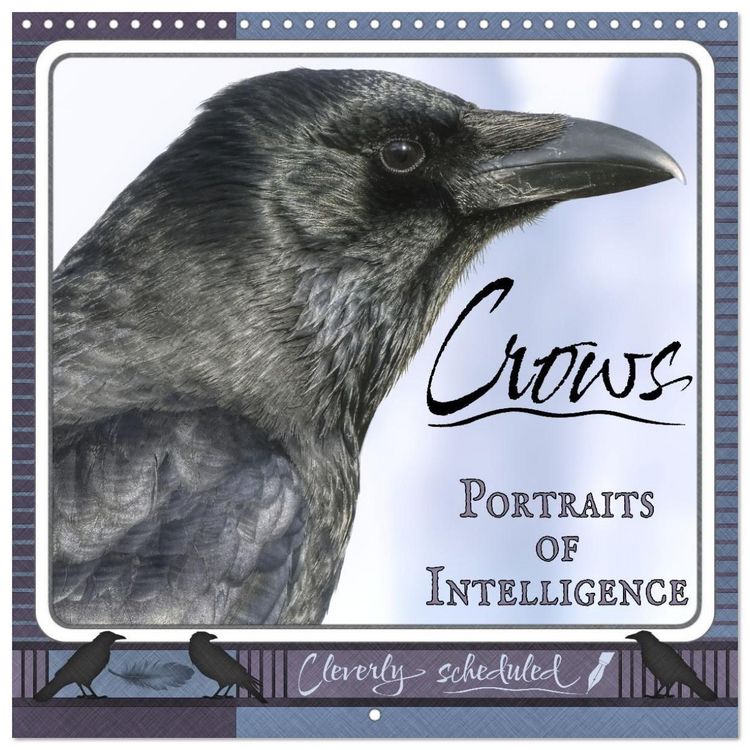 Produktbild: Saar, I: Crows. Portraits of Intelligence. Cleverly schedule