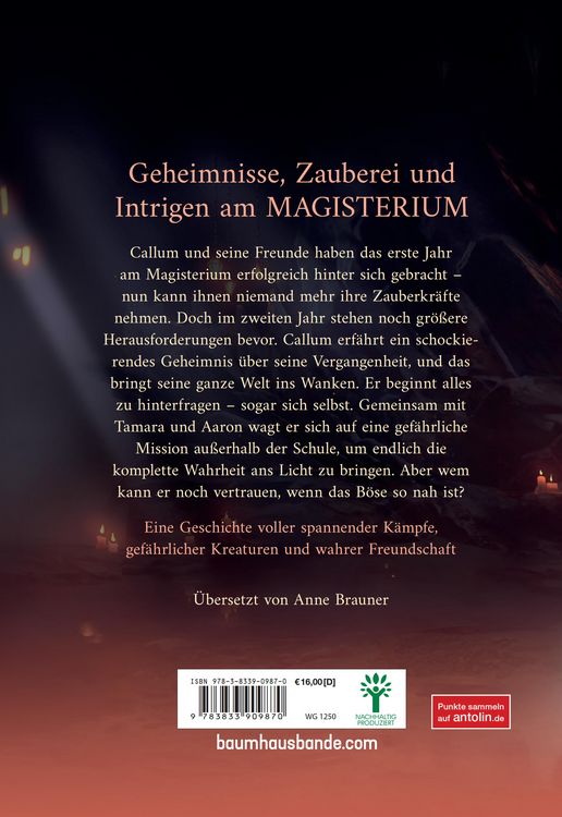 Produktbild: Magisterium - Das 2. Jahr