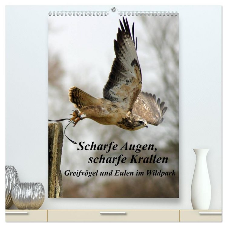 Produktbild: Scharfe Krallen, scharfe Augen, Greifv&ouml;gel und Eulen im Wildpark (hochwertiger Premium Wandkalender 2026 DIN A2 hoch), Kunstdruck in Hochglanz