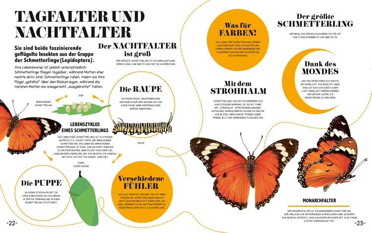 Produktbild: 5-Minuten-Lernen Natur