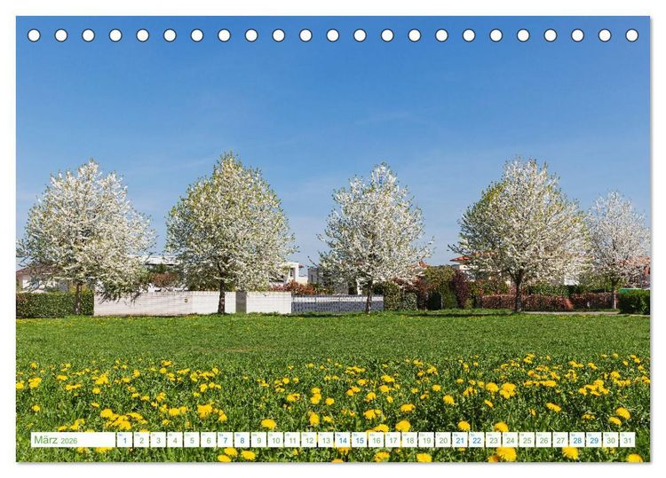 Produktbild: K&ouml;ln Widdersdorf - Bl&uuml;tentr&auml;ume und l&auml;ndliche Idylle (Tischkalender 2026 DIN A5 quer), CALVENDO Monatskalender