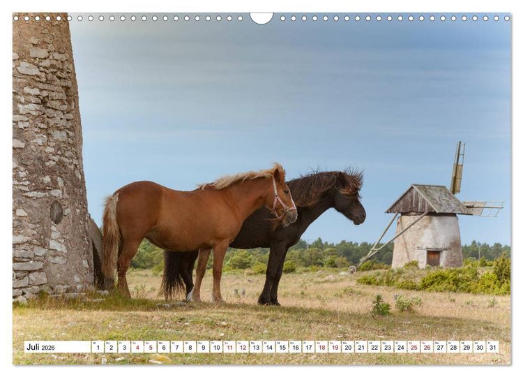 Produktbild: Gotland - Sonneninsel in der Ostsee (Wandkalender 2026 DIN A3 quer), CALVENDO Monatskalender