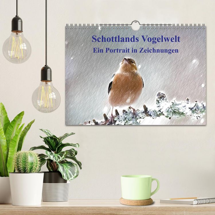 Produktbild: Schottlands Vogelwelt - Ein Portr&auml;t in Zeichnungen (Wandkalender 2026 DIN A4 quer), CALVENDO Monatskalender