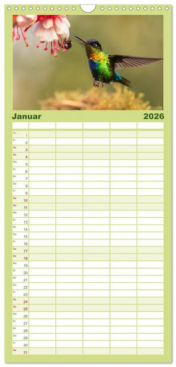 Produktbild: Familienplaner 2026 - Zauberhafte Kolibris in Costa Rica mit 5 Spalten (Wandkalender, 21 x 45 cm) CALVENDO