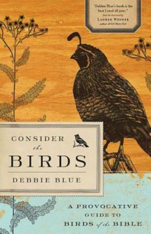 Produktbild: Consider the Birds