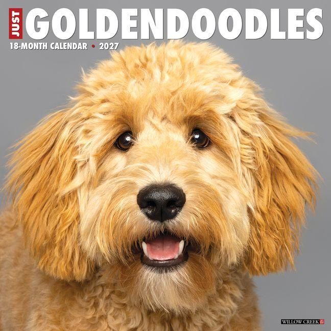 Produktbild: Goldendoodles 2027 12 X 12 Wall Calendar