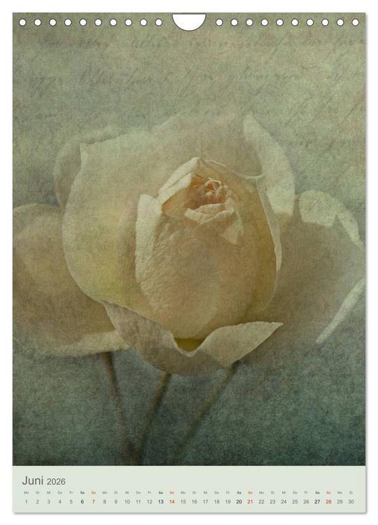 Produktbild: Flora (Wandkalender 2026 DIN A4 hoch), CALVENDO Monatskalender
